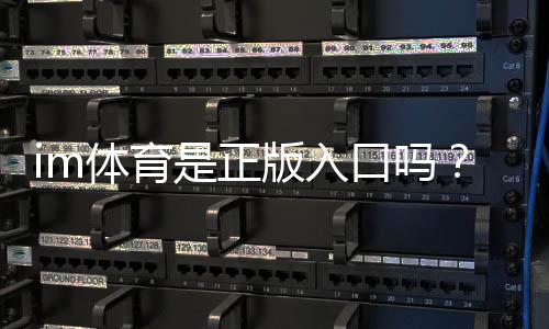 im体育是正版入口吗？资深玩家揭秘平台安全性与游戏体验